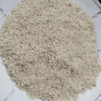 سرلاشه طارم هاشمی کشت آمل