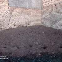 کود حیوانی
