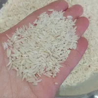 برنج طارم|خوردنی و آشامیدنی|ایلام, |دیوار