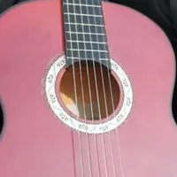 گیتار سالم