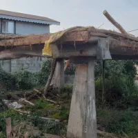 حلب و هیزم برای ذغال