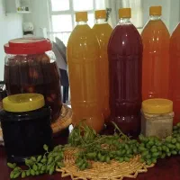 آبلیموو آبغوره