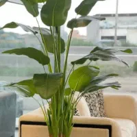 گل مصنوعی