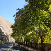 خریدوفروش زمین وباغ ویلاجاده چالوس