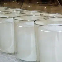 حباب دو گلس ایرانی نباتی|لوستر و چراغ آویز|قدس, شهر‌قدس|دیوار