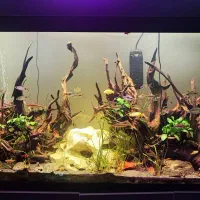 آکواریوم پلنت بسیار بزرگ فروش یکجا