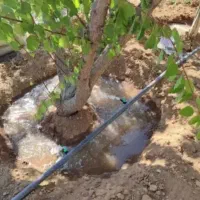 سلام دوربین مداربسته لوله کشی قطره‌ای ویلا انجام م