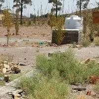 ۳۰۱ متر زمین مناسب باغ و باغچه سندار