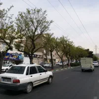 85 متر همکف در اصلی باغستان