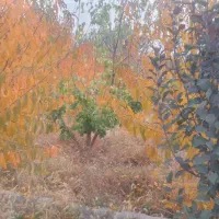 ۴۰متر طبقه دوم + آسانسور