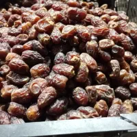 خرمای پیارم ۵۰۰تومن بریم ۴۰۰تومن موجود