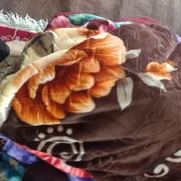 سلام چند عدد پتو گلبافت تمیز بشرط|رختخواب، بالش، پتو|ساوه, |دیوار