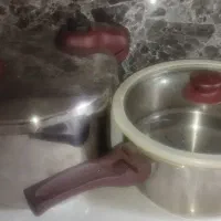 زودپز یونیک اصل