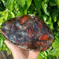 خرما کبکاب درجه یک