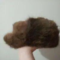 کلاه پوست