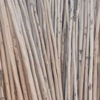 چوب پروازی. خده.چوب پرچمی