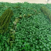 ریسه برگ مصنوعی کیفیت درجه یک