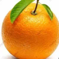 فروش پرتقال