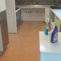کار نظافت انجام میدهم آقا هستم