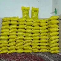 برنج عنبربو شوشتر