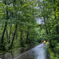 اقامتگاهای اجاره های کلبه های  زیگورات 022