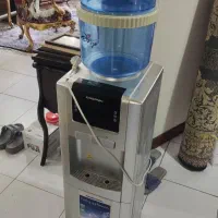 ابسردکن گاسونیک