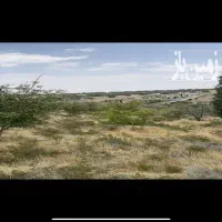 زمین-باغی-کدیون