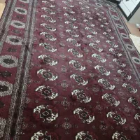 قالی
