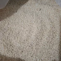 برنج بوجاری طارم هاشمی و نیم دانه  از زمین خودمان|خوردنی و آشامیدنی|قائم‌شهر, |دیوار
