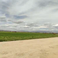 زمین شاپورجان