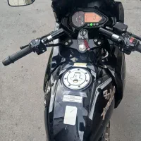 پالس ۲۲۰  تک برگ سند