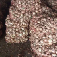 صد تن پیاز زرد شش ماهه فروشی