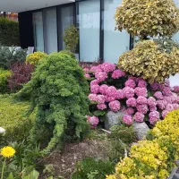 نظافت ویلای شخصی و اجاره ای