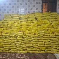 برنج عنبر بو