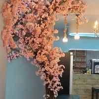 درختچهآرزوها،درختچهشکوفه