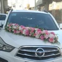 گل ارایی|گل و گیاه طبیعی|شهرکرد, |دیوار