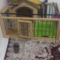خانه پت