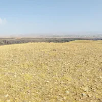 فروش زمین کشاورزی دیم|فروش دفتر صنعتی، کشاورزی، تجاری|میانه, |دیوار