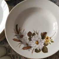 ظرف|ظروف سرو و پذیرایی|تهران, زاهد گیلانی|دیوار