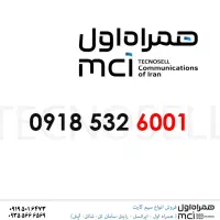 0918-532-6001