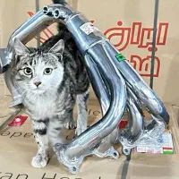 فروش و نصب هدرز پایین ترین قیمت باورنکردنی