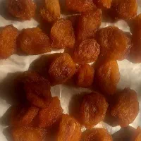 نهال آلو بخارای زرد ، درشت و درجه یک