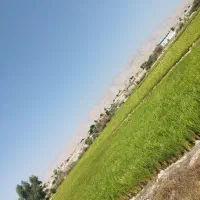 چهارهزارمترزمین شلتوک بهترین منطقه خیراباد