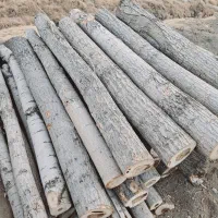 خریده  چوب در استان مرکزی و شهرستان ها