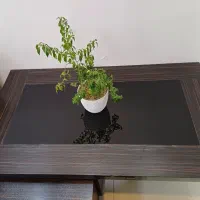 مبل۷ نفره دارای یک جلو مبلی و۳ میز عسلی|مبلمان خانگی و میز عسلی|میاندوآب, |دیوار