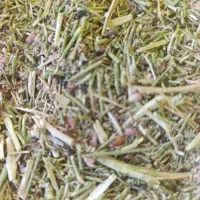 خارشتر یا شنز