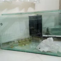 آکواریوم آب شور و شیرین