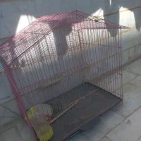 قفس پرنده|لوازم جانبی حیوانات|فردیس, شهرک ۱۱۰|دیوار