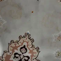 فرش در حد|فرش|قم, زاد|دیوار