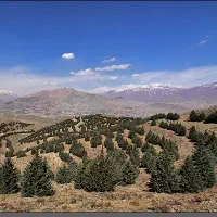 فروش زمین در تلو